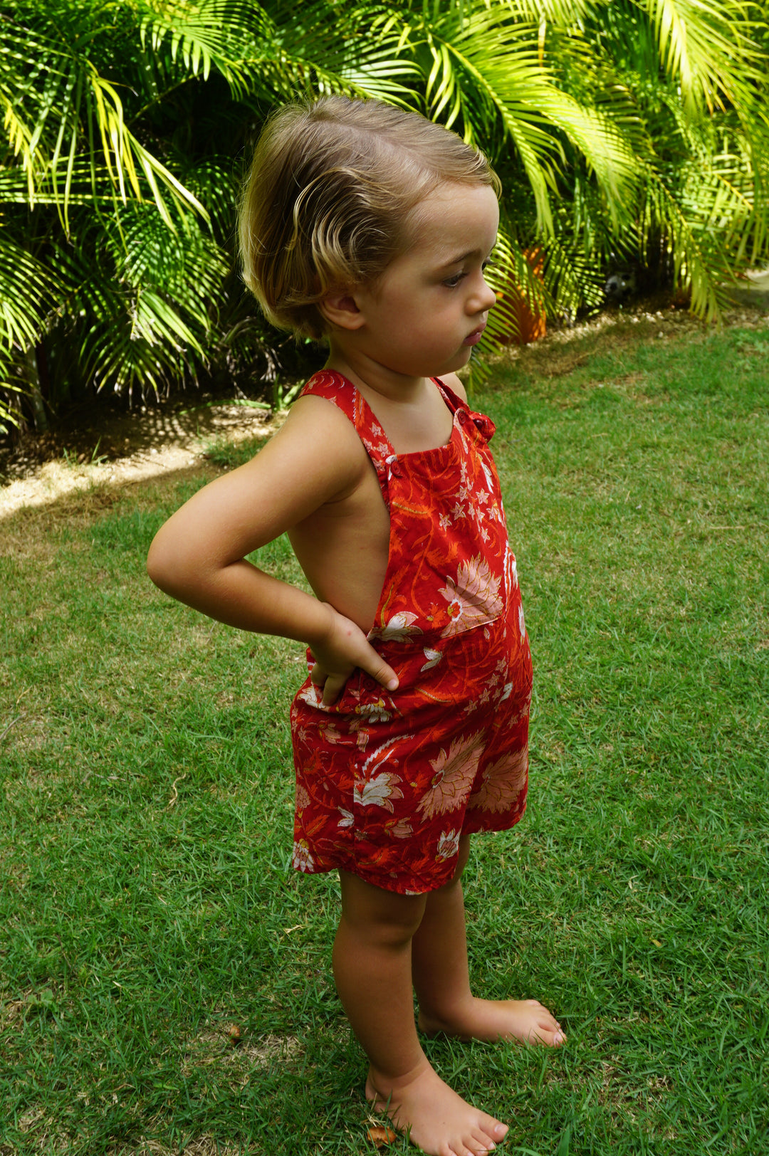 PETO FOX FLOR ROJO