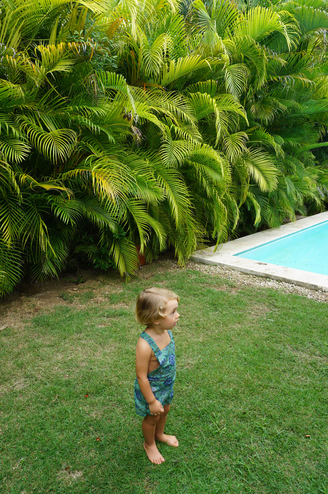 PETO FOX FLOR VERDE