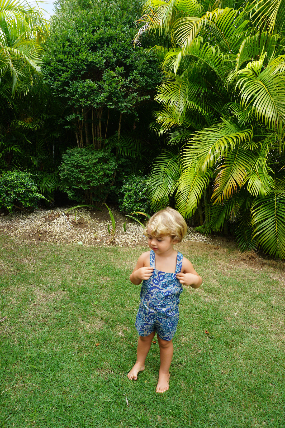 PETO FOX FLOR AZUL