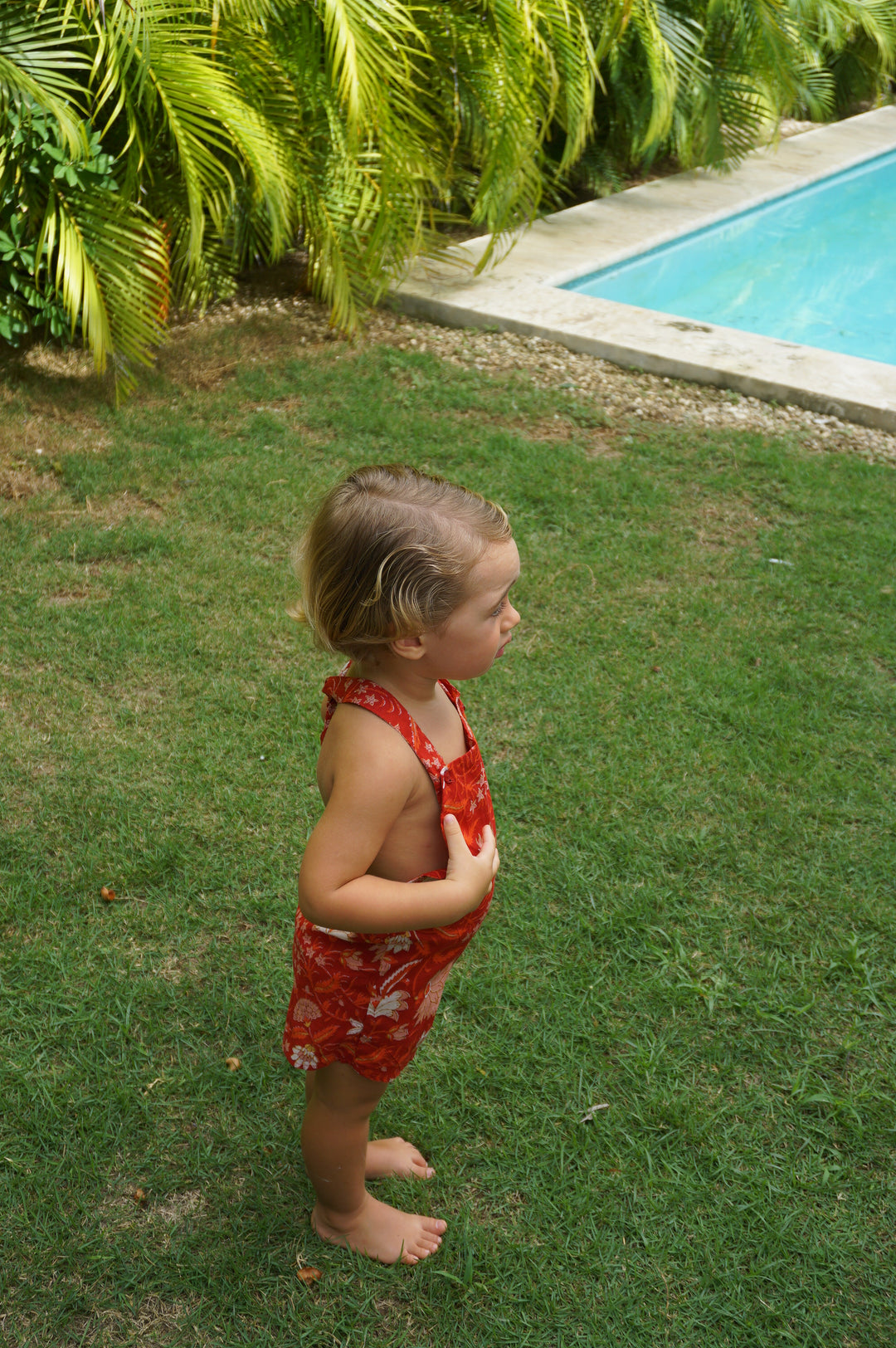 PETO FOX FLOR ROJO